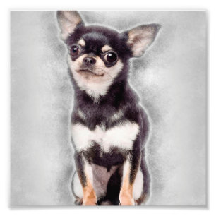 Chihuahua Puppy Sitta Dekorfärg för matta djur Fototryck