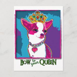 Chihuahua Queen Vykort