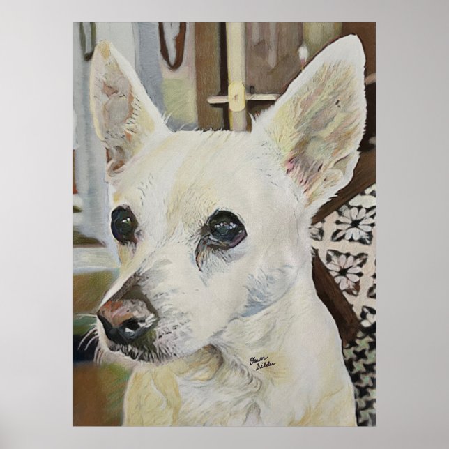 Chihuahua Råtta Terrier Poster (Framsidan)
