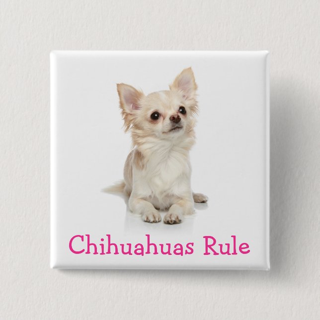 Chihuahua-regler Knapp Pin (Framsida)
