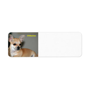 Chihuahua Returadress Etikett