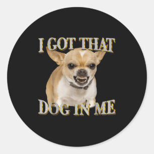 Chihuahua rolig meme fick den där hunden i hundäls runt klistermärke
