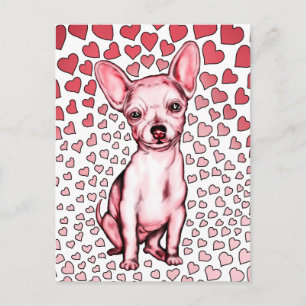 Chihuahua Rosa Hearts Valentine Day Helg Vykort