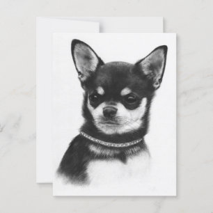 Chihuahua Royalty - Handmålad teckning Vykort