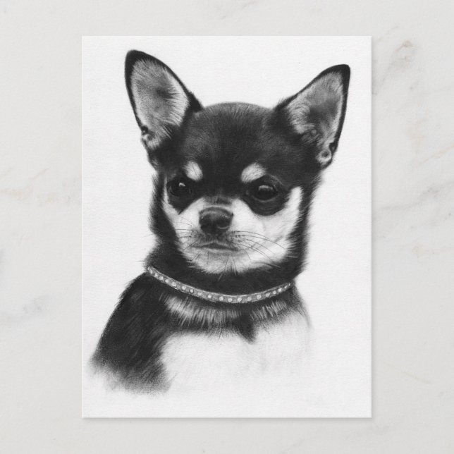 Chihuahua Royalty - Handmålad teckning Vykort (Framsida)