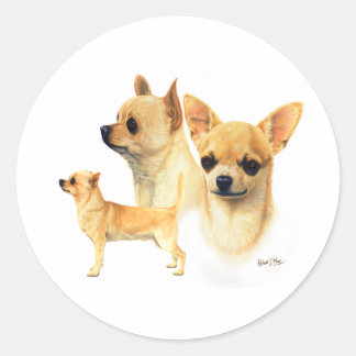 Chihuahua Runt Klistermärke