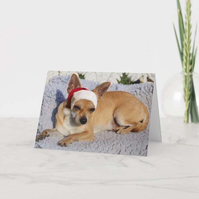 Chihuahua Santa Helgkort (Framsida)