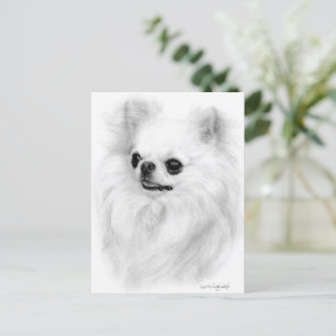 Chihuahua Skönhet Målad för Hand Konsthantverk Vykort