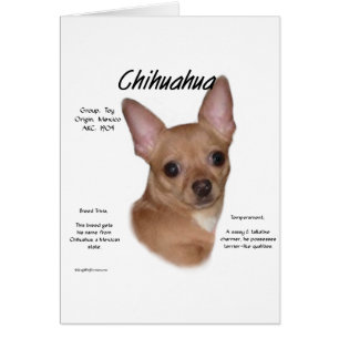 Chihuahua (slät) historikdesign hälsningskort