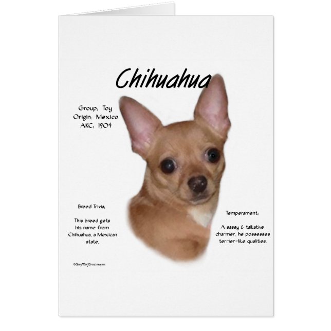 Chihuahua (slät) historikdesign hälsningskort (Framsidan)