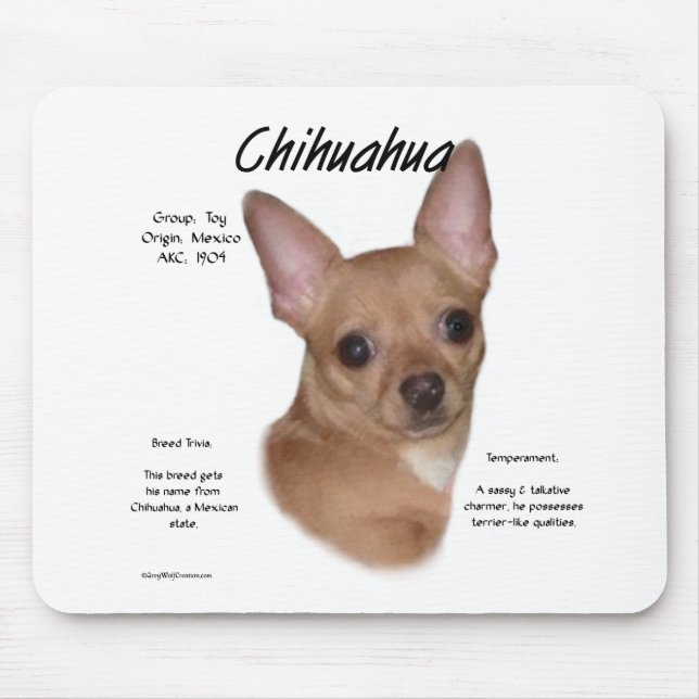 Chihuahua (slät) historikdesign musmatta (Framsidan)