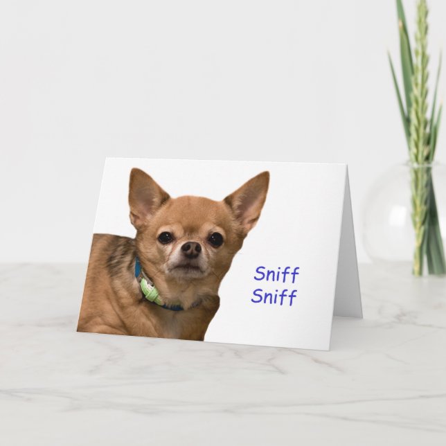 Chihuahua Sniff Birthday Card Kort (Framsida)