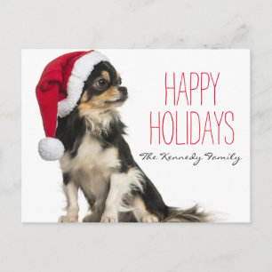 Chihuahua som bär en julhatt helg vykort