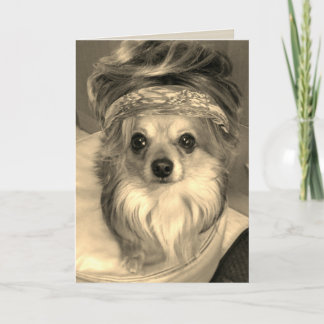Chihuahua som bär en vinter i sepia Birthday Card Kort
