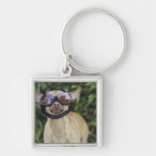 Chihuahua som ha på sig goggles fyrkantig silverfärgad nyckelring