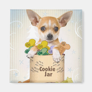 Chihuahua som poseras med kakaburken magnet
