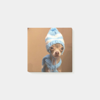 Chihuahua som posta-det noterar post-it block