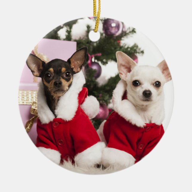 Chihuahua som sitter och ha på sig en julkostym julgransprydnad keramik (Framsidan)