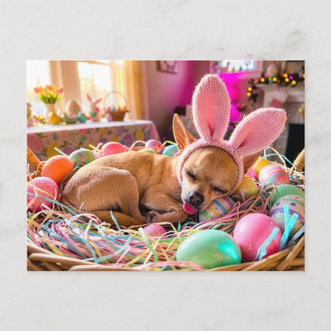 Chihuahua som sover i påskkorg vykort (Framsida)