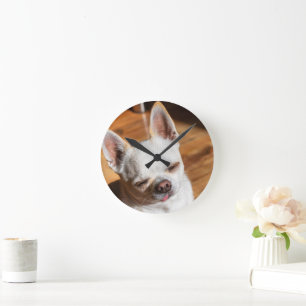 Chihuahua sömnig tunga i en uppmjukad målarfoto rund klocka