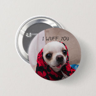 Chihuahua söt Jag älskar dig kärlek Alla hjärtans Knapp