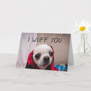 Chihuahua söt Jag älskar dig kärlek Alla hjärtans Kort
