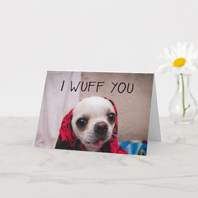Chihuahua söt jag älskar dig kärlek Alla hjärtans  Kort (Liten växt)