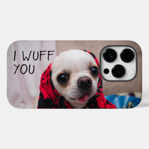 Chihuahua söt jag önskar dig kärlek Valentineser