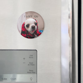 Chihuahua söt jag önskar dig kärlek Valentineser Magnet