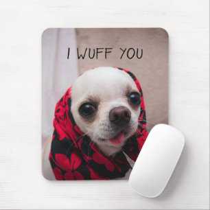 Chihuahua söt jag önskar dig kärlek Valentineser Musmatta