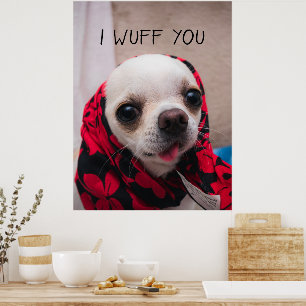Chihuahua söt jag önskar dig kärlek Valentineser Poster