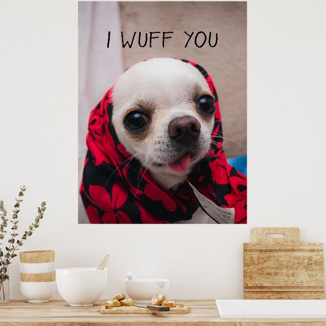 Chihuahua söt jag önskar dig kärlek Valentineser Poster (Kök)