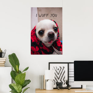 Chihuahua söt jag önskar dig kärlek Valentineser Poster