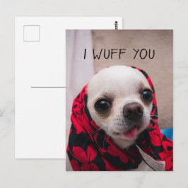 Chihuahua söt jag önskar dig kärlek Valentineser Vykort