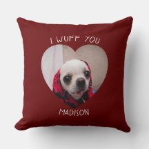 Chihuahua söt väva om ditt hjärtfoto från kärlek V