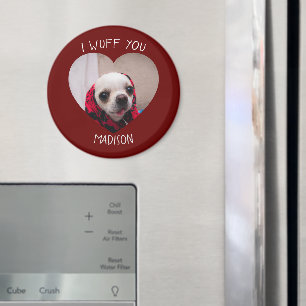 Chihuahua söt väva om ditt hjärtfoto från kärlek V Magnet
