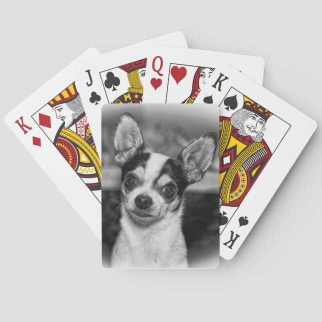 Chihuahua Spel Kort (Baksidan)