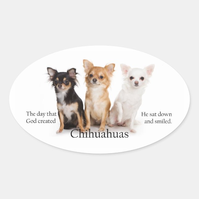Chihuahua Sticker Ovalt Klistermärke (Framsida)