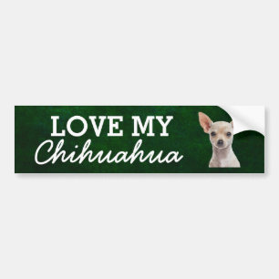 Chihuahua-stötfångare Bildekal
