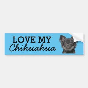 Chihuahua-stötfångare Bildekal