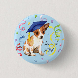 Chihuahua Student Knapp