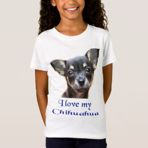 Chihuahua t-shirt. t shirt
