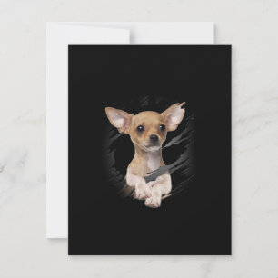 Chihuahua Tack Kort