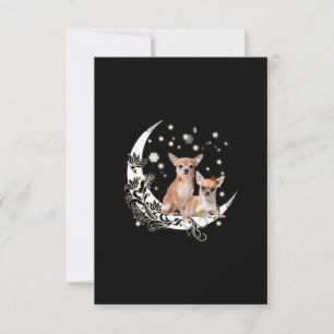 Chihuahua Tack Kort