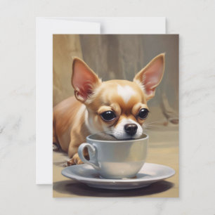 Chihuahua Tack Kort