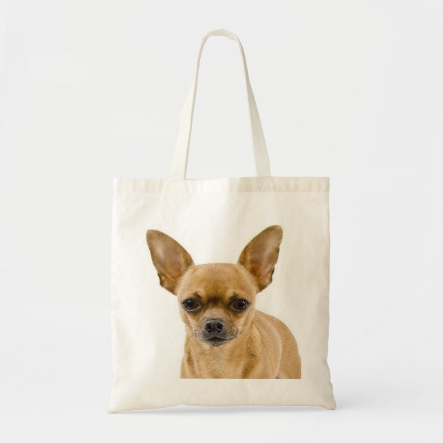 Chihuahua Tan och vit valp, Hund Tygkasse (Framsidan)