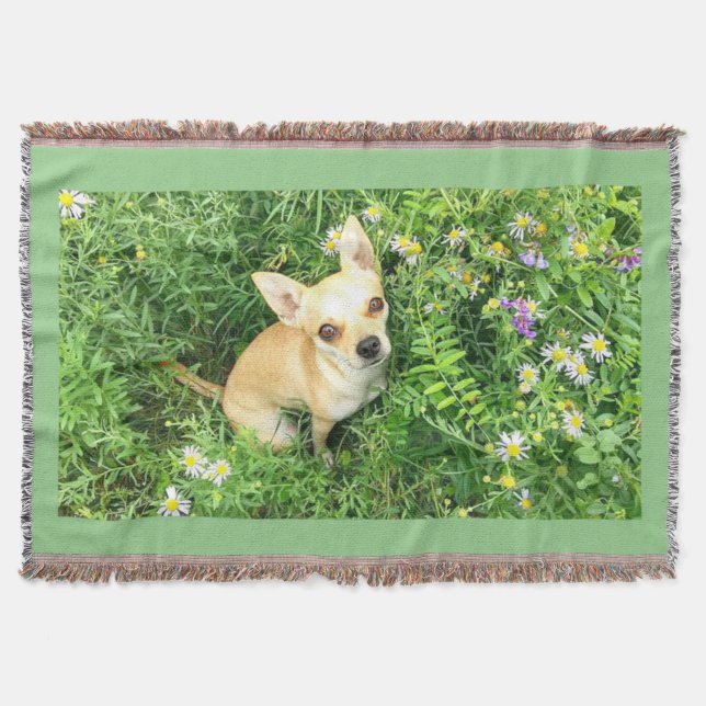 Chihuahua tapestry "sage grönt" kastar. filt (Framsidan)