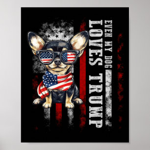 Chihuahua Till och med min Hund Trump Funny Poster