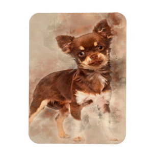Chihuahua tittar vid camer_Hund älskare Magnet