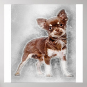 Chihuahua tittar vid camer_Hund älskare Poster